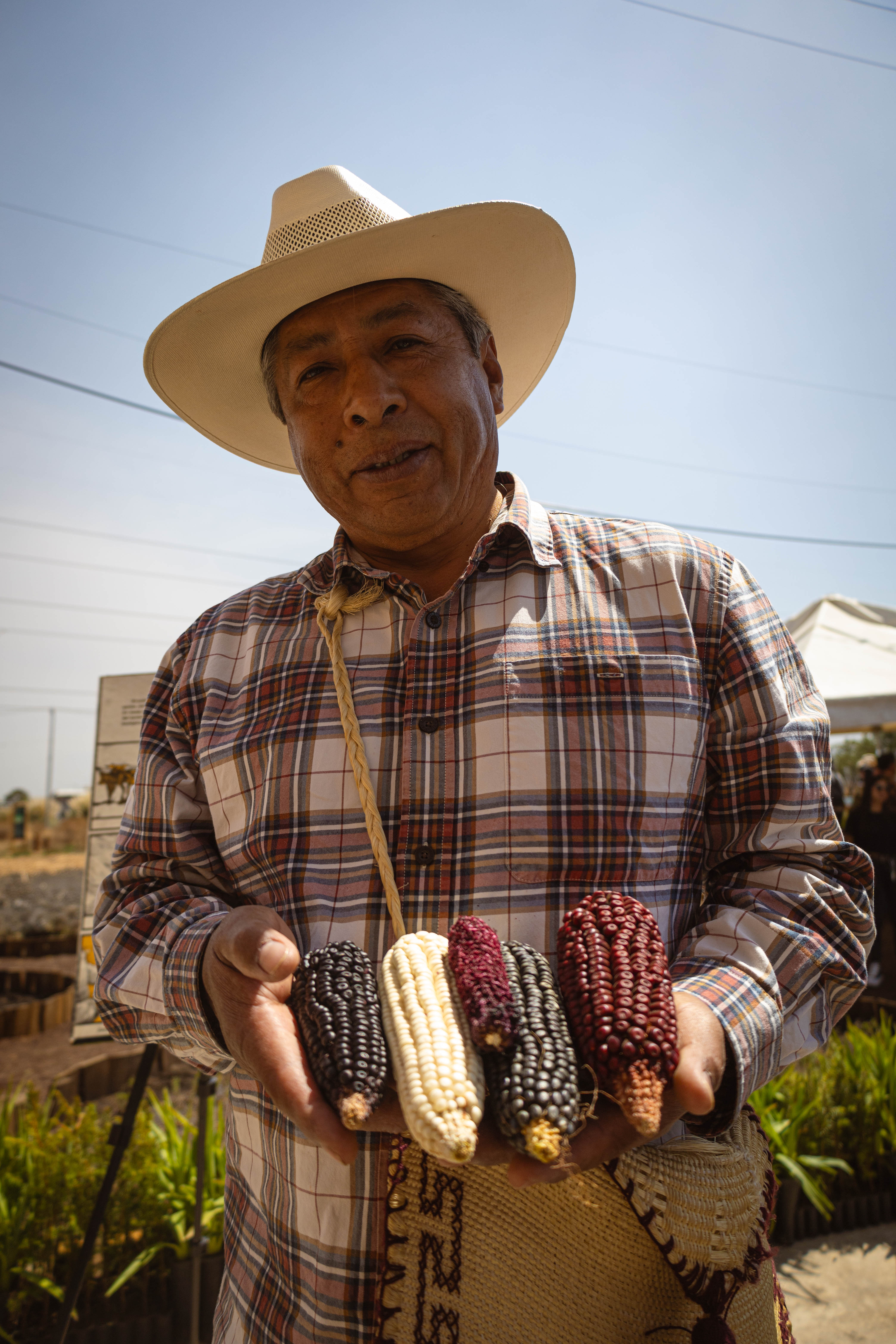 Imagen 7 de la galería